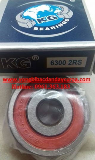 6300 2rs kg