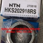 hkS2029 ntn