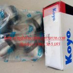 VÒNG BI CHỮ THẬP 36X104 KOYO