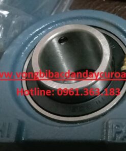 BẠC ĐẠN PA206