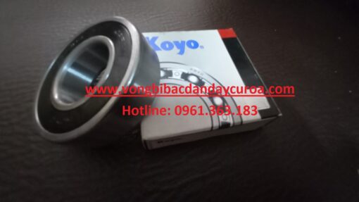 BẠC ĐẠN 6002 2RS