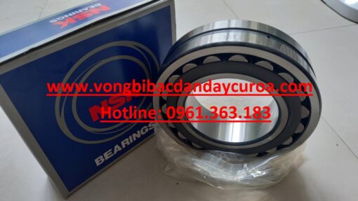 BẠC ĐẠN 22204CE4
