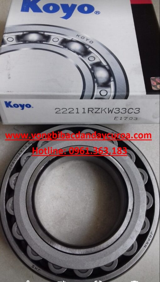 BẠC ĐẠN 22208RZW3C3