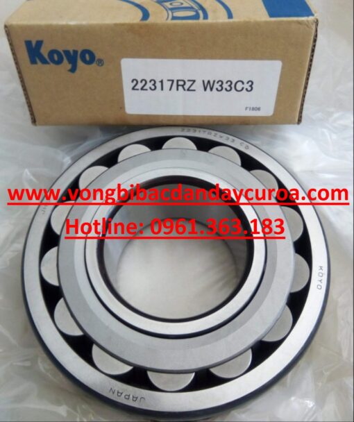 BẠC ĐẠN 22209RZW3C3