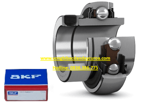 BẠC ĐẠN YET 210