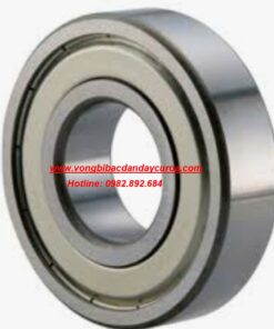 VÒNG BI S 6000 Z INOX